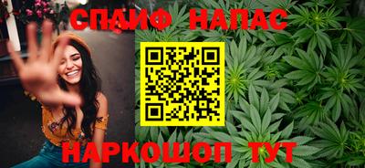 гашик Будённовск