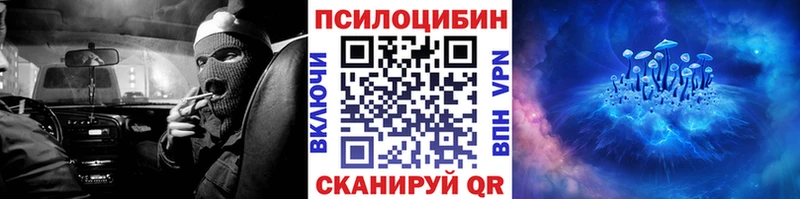 ссылка на мегу как войти Ковров Псилоцибиновые грибы Psilocybe