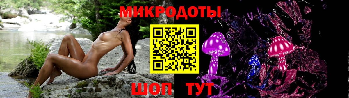 Ковров  Галлюциногенные грибы прущие грибы  Псилоцибиновые грибы Psilocybe  цена наркотик  Вход с VPN 