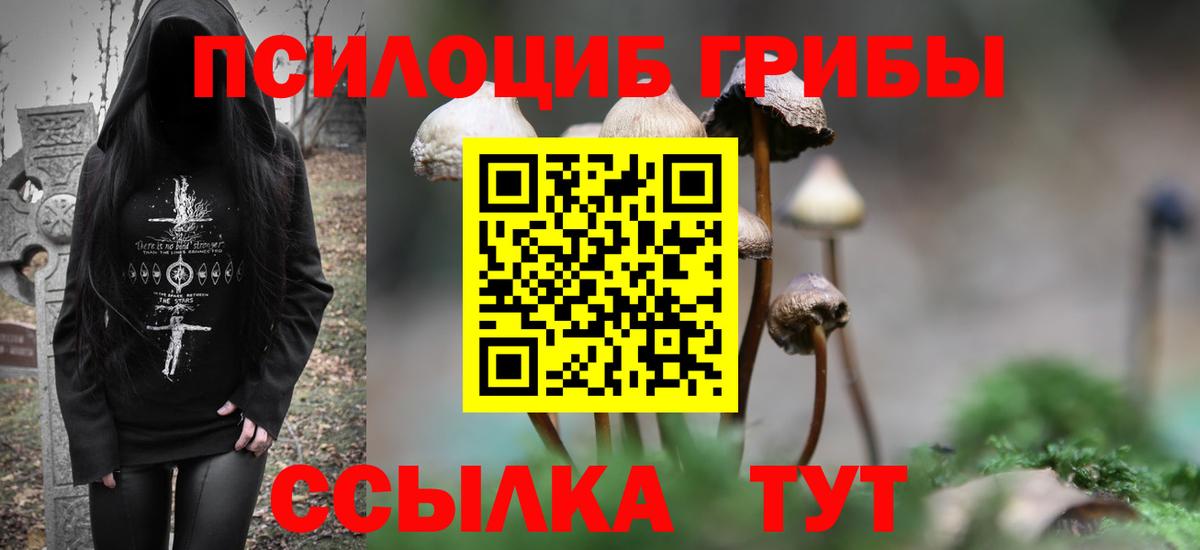 Псилоцибиновые грибы Magic Shrooms Ковров