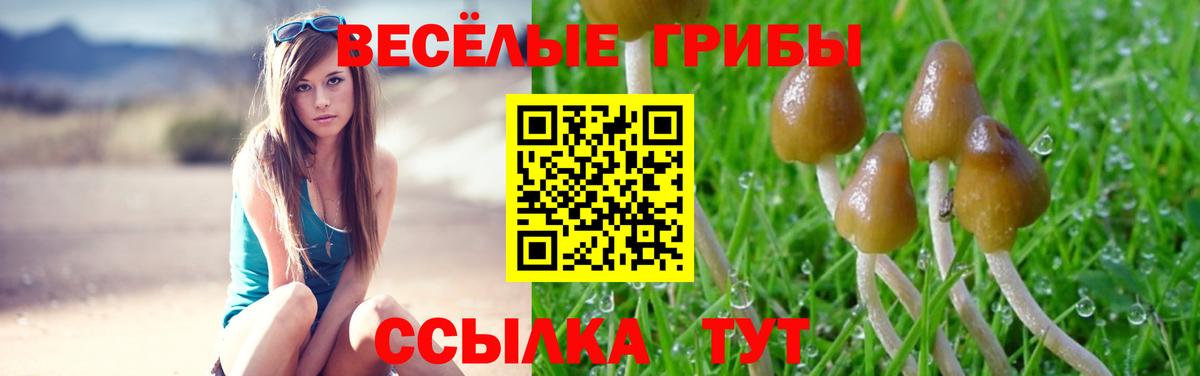 Псилоцибиновые грибы мухоморы Ковров