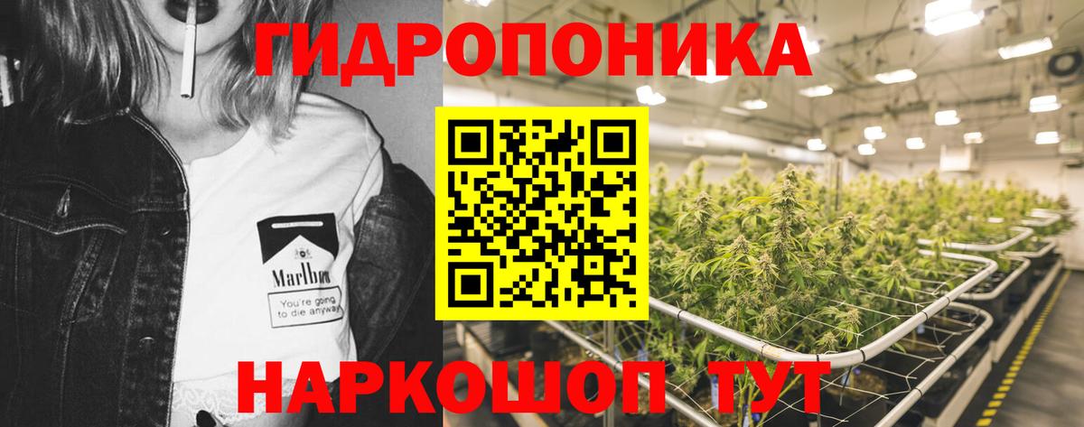 Бошки Шишки марихуана  МАРИХУАНА THC 21%  Марихуана THC 21%  Ковров 